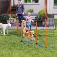 PawHut Agility Set voor Honden – 3-delig met Slalomstokken & Draagtas